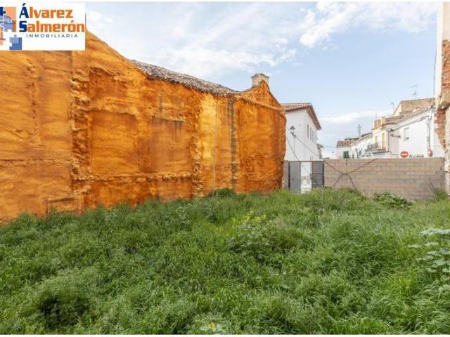 Local Comercial en venta en Comarca de la Vega de Granada, Andalucía