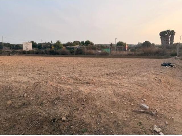 Local Comercial en venta en la Marina, el Baix Vinalopó
