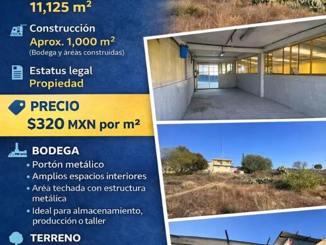Nave Industrial en venta en Constitución de 1917, Pachuca