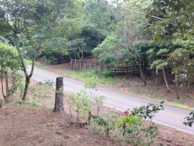 Oportunidad de inversión: tierra fértil con clima ideal en hornito, chiriquí/investment opportunity: fertile land with ideal climate in hornito, chiri