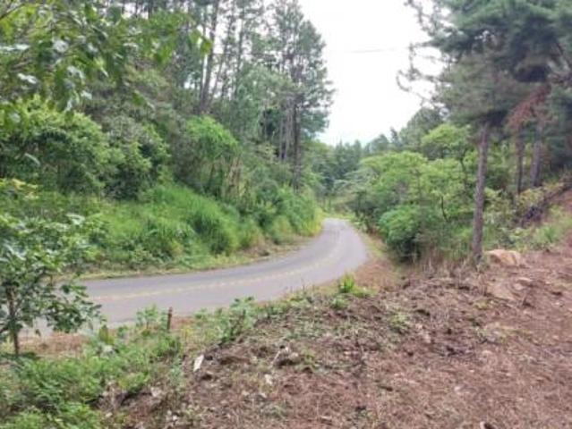 Oportunidad de inversión: tierra fértil con clima ideal en hornito, chiriquí/investment opportunity: fertile land with ideal climate in hornito, chiri