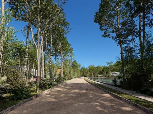 Oportunidad de Inversión Venta de Fraccionamiento de 237 Ha, en Felipe Carrillo Puerto | KC0340