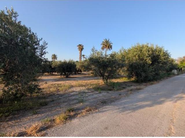 Local Comercial en venta en Daimes, el Baix Vinalopó