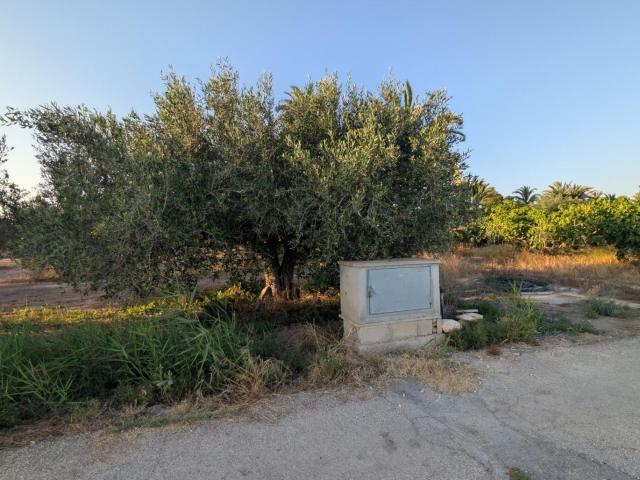 Terreno en venta en la Foia, el Baix Vinalopó