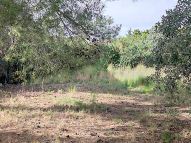 Terreno en venta en Castellvell Del Camp