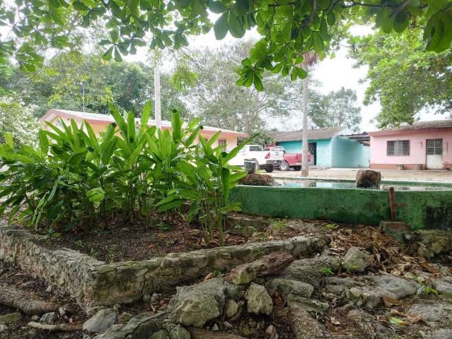 Rancho en venta en Sucilá, Yucatán