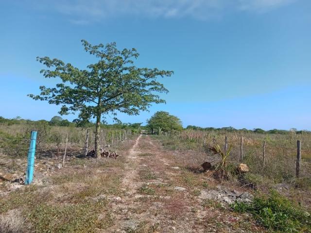 Rancho en venta en Dzilam González, Yucatán