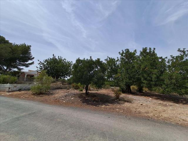 Terreno en venta en la Conarda, el Camp de Túria