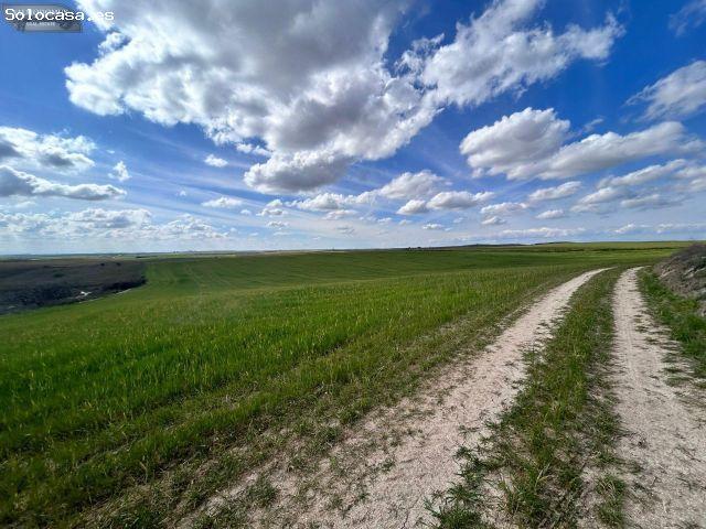 Local Comercial en venta en El Viso De San Juan, Castilla-La Mancha
