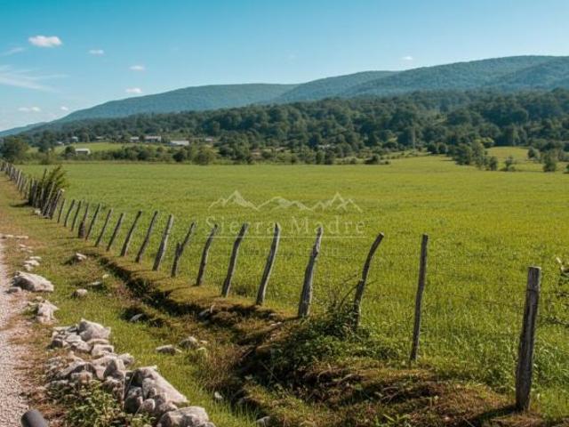 Rancho en venta en Ciudad Del Maíz, San Luis Potosí