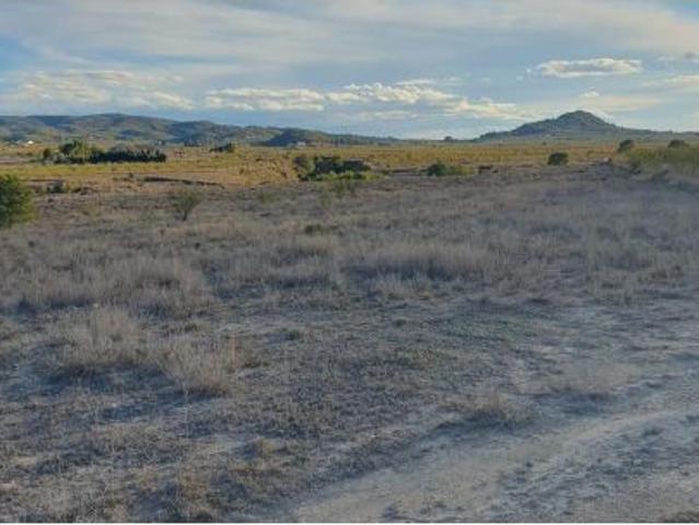 Local Comercial en venta en Valle de Ricote, Murcia