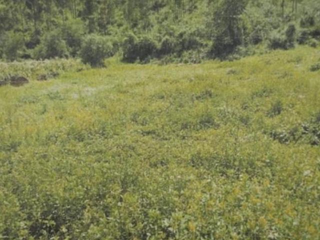 ¡Oportunidad terreno en venta! En El Corazón Del Valle Sagrado