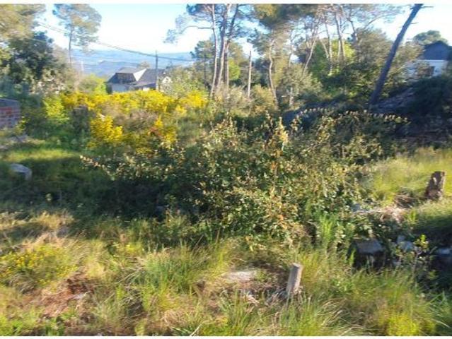 Local Comercial en venta en la Font del Bosc, Mediona
