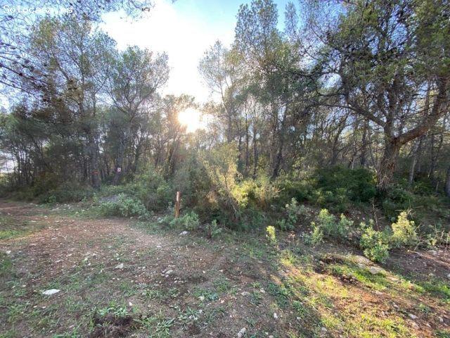 Local Comercial en venta en Alt Penedès, Catalunya
