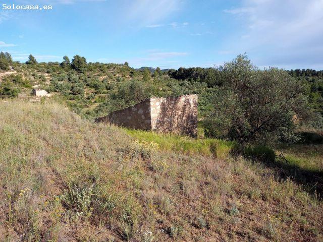 Local Comercial en venta en Ribera d'Ebre, Catalunya