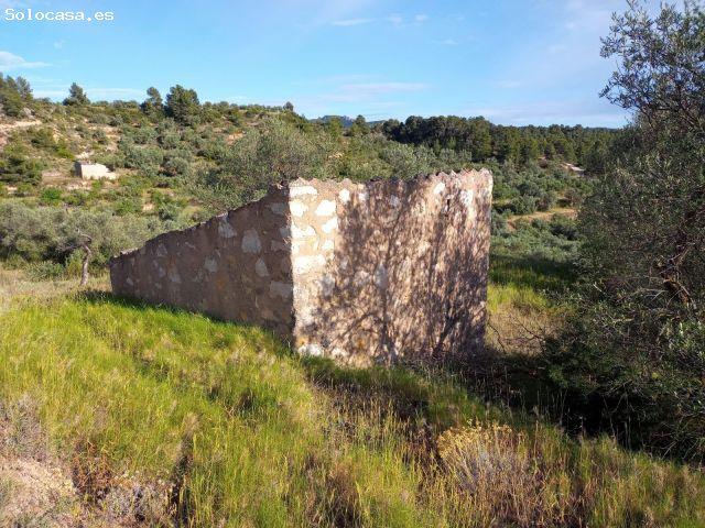 Local Comercial en venta en Ribera d'Ebre, Catalunya