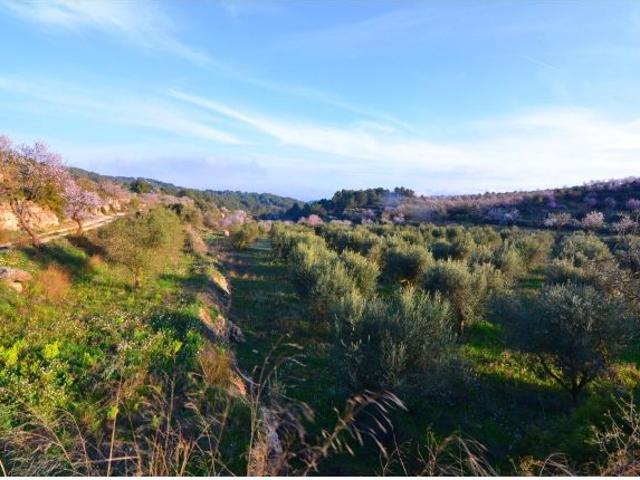 Local Comercial en venta en Terra Alta, Catalunya