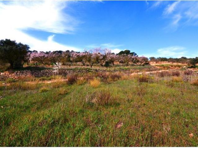 Local Comercial en venta en Terra Alta, Catalunya