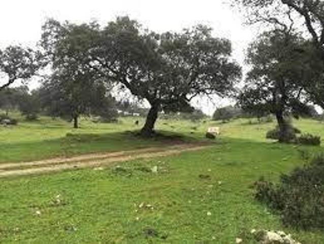 Villa en venta en Tamames