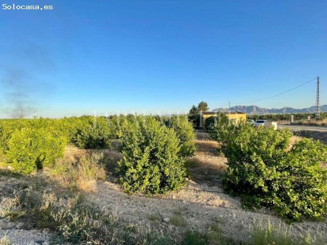 Casa en venta en Albatera