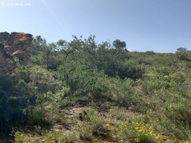 Local Comercial en venta en Ribera d'Ebre, Catalunya