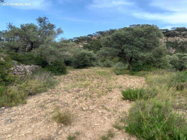Local Comercial en venta en Terra Alta, Catalunya