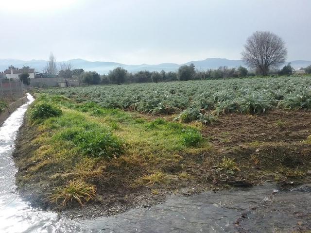 Terreno en venta en La Hoya de Cuna Alta, Atarfe