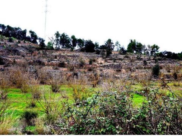 Local Comercial en venta en Terra Alta, Catalunya