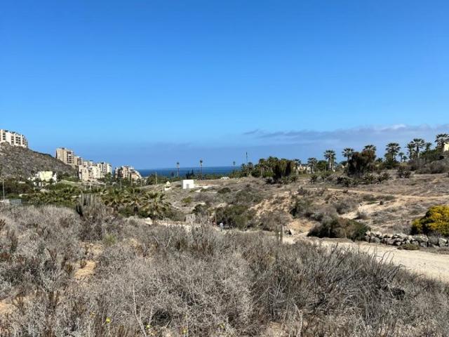 OPORTUNIDAD INVERSIÓN LAS TACAS