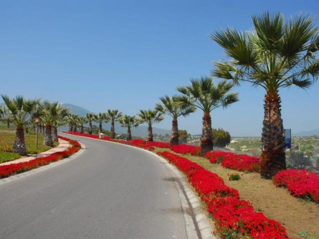 OPORTUNIDAD INVERSIÓN LAS TACAS