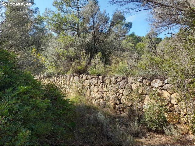 Local Comercial en venta en Ribera d'Ebre, Catalunya