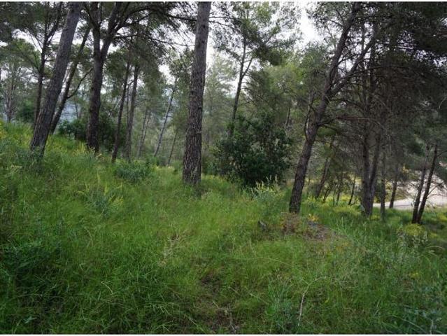 Local Comercial en venta en Baix Camp, Catalunya