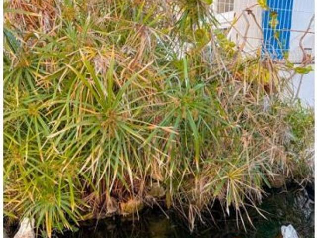 Piso en venta en El Sauzal, Canarias