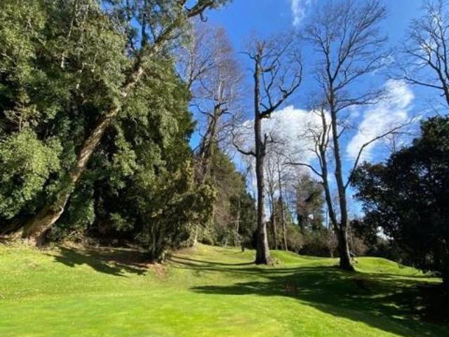 ¡OPORTUNIDAD!/Pucón, Pucón