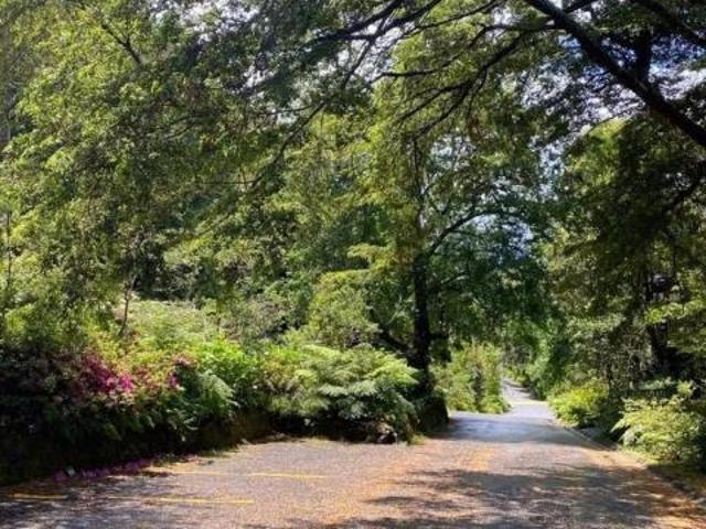 ¡OPORTUNIDAD!/Pucón, Pucón