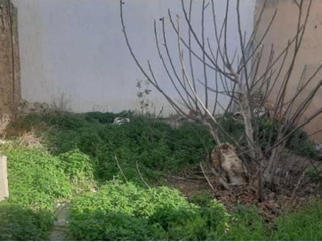 Local Comercial en venta en la Foia, el Baix Vinalopó
