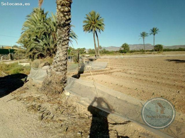 Local Comercial en venta en la Foia, el Baix Vinalopó
