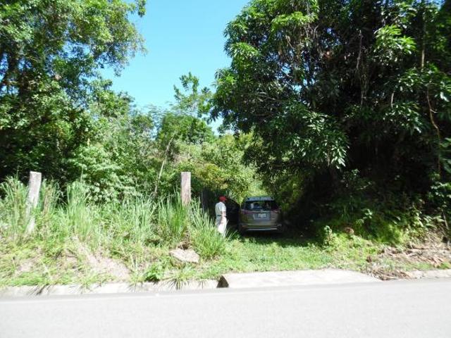 Oportunidad: Terreno de 25 has. en Chanchamayo