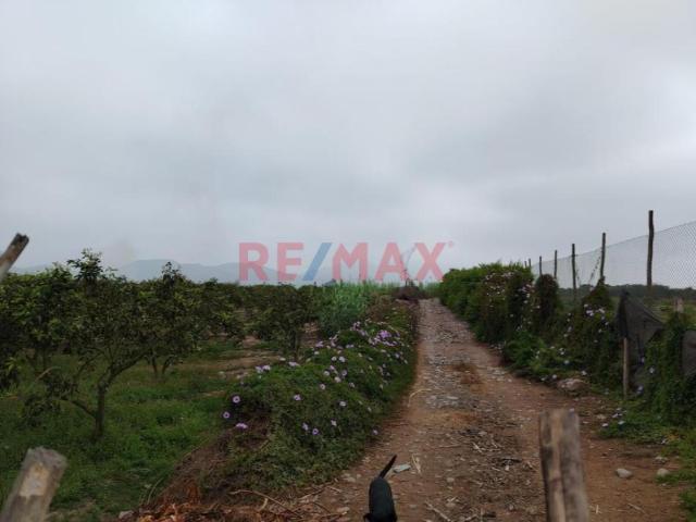 Terreno venta en Huaral, Lima Metropolitana