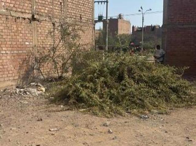 Oportunidad! Terreno de 99 m² amplio frente en San Pedro V Etapa – Carabayllo