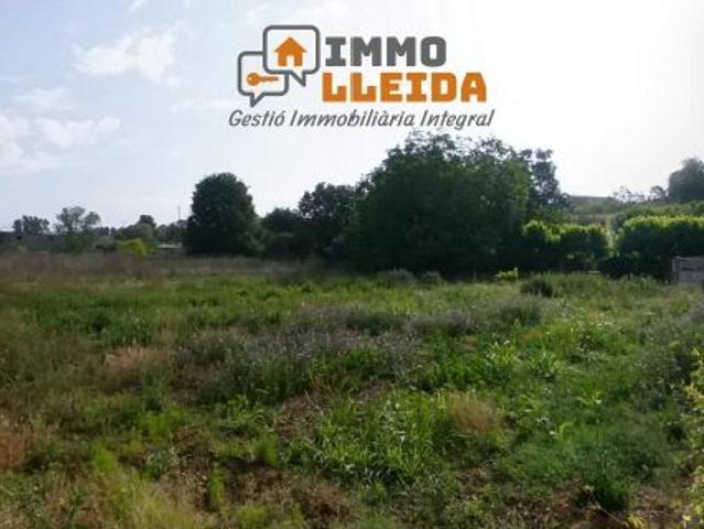 Local Comercial en venta en Noguera, Catalunya