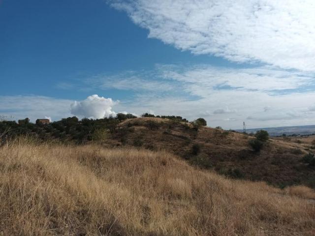 Terreno en venta en El Molar, Madrid