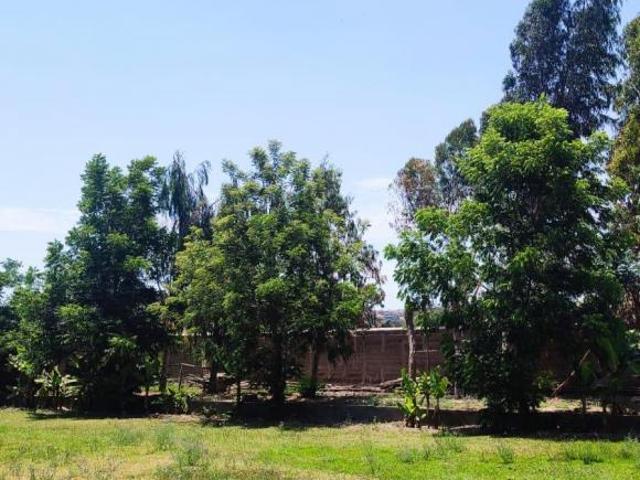 EN VENTA TERRENO AGRICOLA EN LURÍN GRAN OPORTUNIDAD