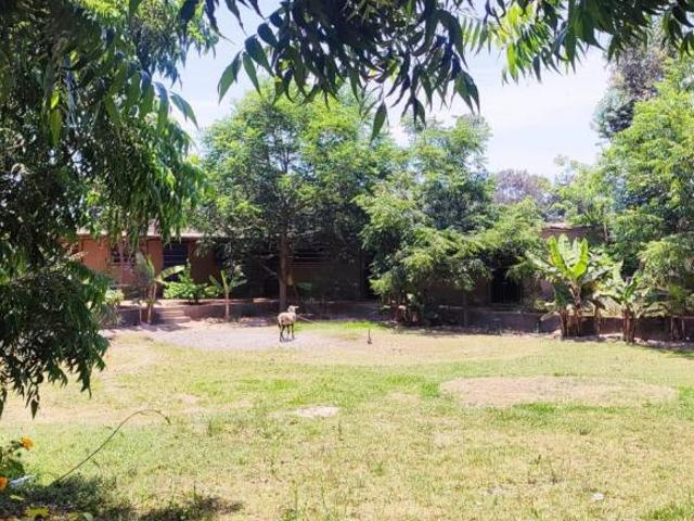 EN VENTA TERRENO AGRICOLA EN LURÍN GRAN OPORTUNIDAD