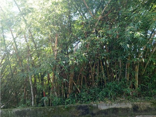 Terreno en venta en Boca De Uchire, Miranda