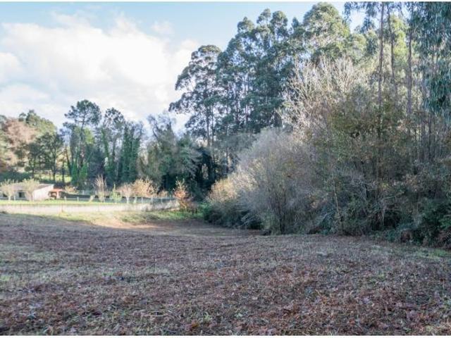 Local Comercial en venta en Cacharrete, A Coruña