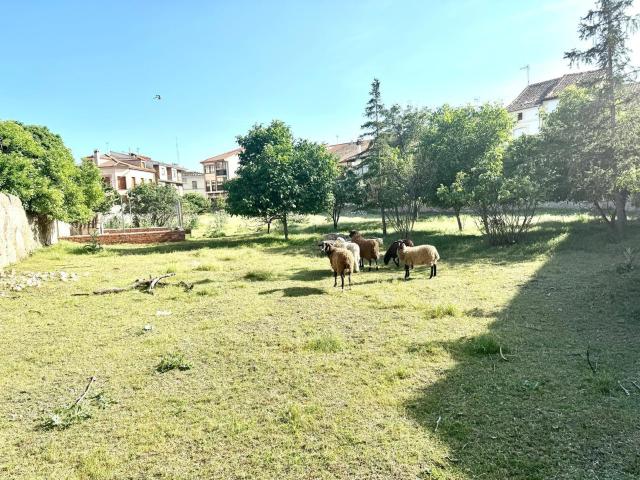 Terreno en venta en Sexmo de Posaderas, Turégano