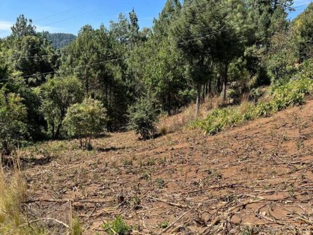 Terreno en venta en San Andrés Paxtlán, Oaxaca