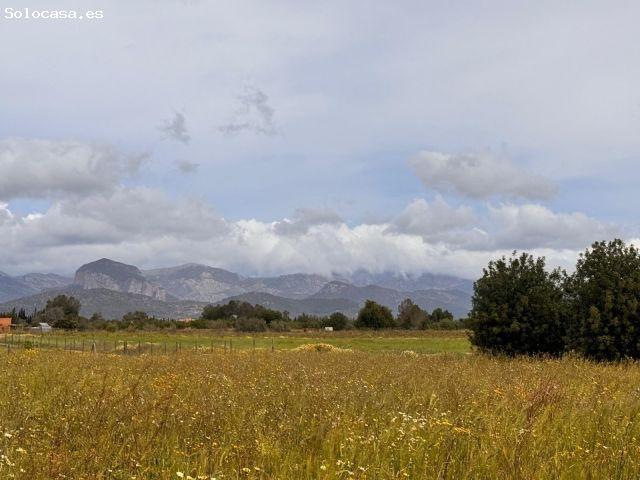 Local Comercial en venta en Pla de Mallorca, Baleares
