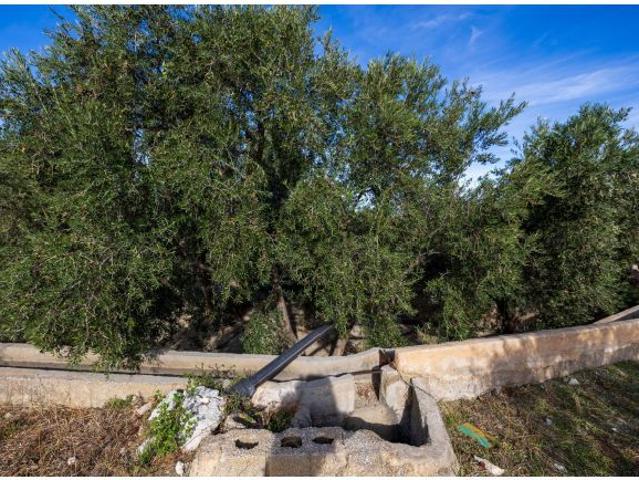 Local Comercial en venta en Chite, Comarca del Valle de Lecrín